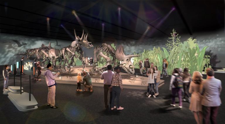 Naturalis